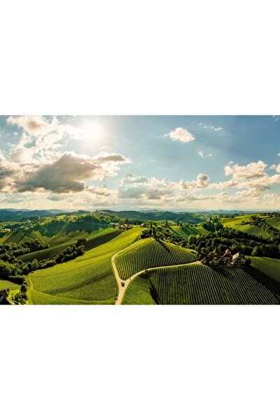 Zumzeria Картина върху платно Панорама с емблематични лозя, 80x50 см, canvasp...