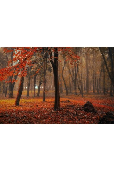 Zumzeria Tablou Canvas Magical Forest σε κόκκινο-πορτοκαλί τόνους, 80x50cm, t...