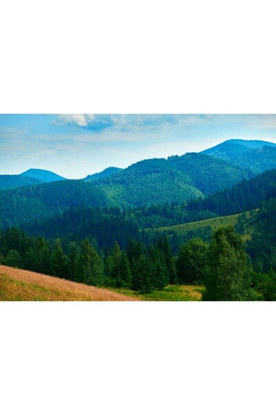 Zumzeria Tablou Canvas Summer Over Beautiful Wild Nature, 80x50cm, tabloucanv...