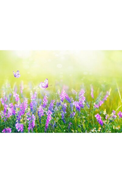 Zumzeria Tablou Canvas Όμορφος Απαλός Καμβάς Άνοιξη-Καλοκαίρι, 80x50εκ., tabl...