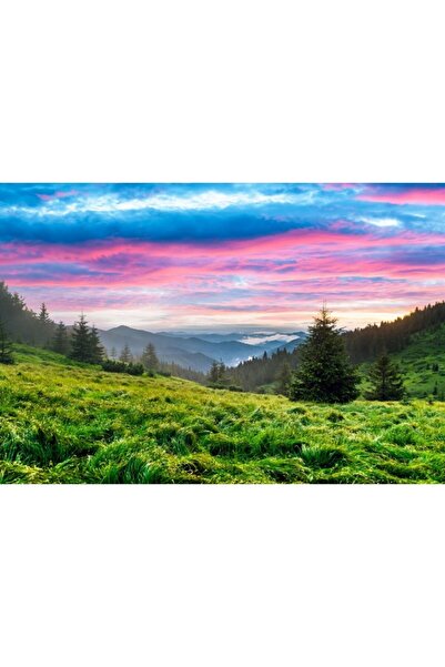 Zumzeria Tablou Canvas Meadows Full Of Green Grass In Sunset Time, 80x50cm, tabloucanvas540, Zumzeria ®