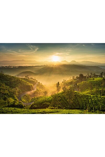 Zumzeria Πίνακας σε καμβά με θέμα την ομιχλώδη ανατολή του ηλίου στην Ινδονησ...