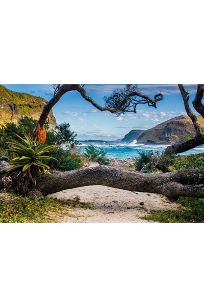 Zumzeria Tablou Canvas Wild Tropical Beach, 80x50cm, tabloucanvas302, Zumzeria ®