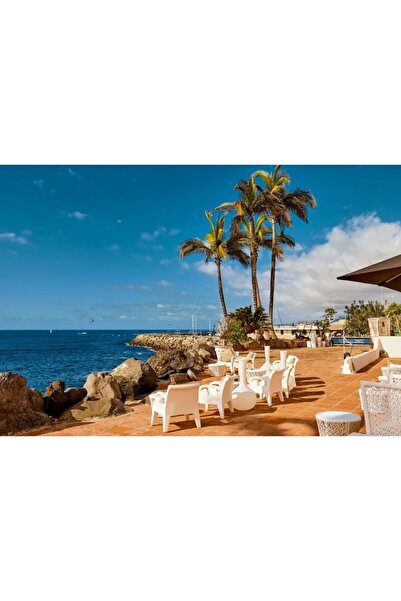 Zumzeria Tablou Canvas Enjoying The Sunlight On The Coastline, 80x50cm, tablo...