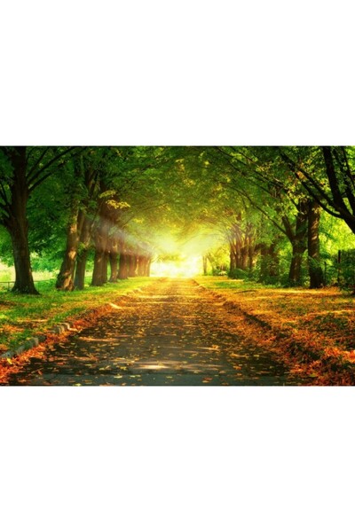 Zumzeria Tablou Canvas Red Leavy Alley In The Forest, 80x50cm, tabloucanvas11...