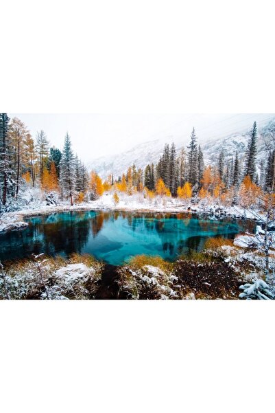 Zumzeria Tablou Canvas Fantastic Blue Lake In The Forest, 80x50cm, tabloucanv...