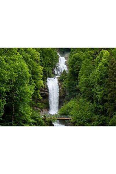 Zumzeria Tablou Canvas Cascada Giessbach În Alpii Elvețieni, 80x50cm, tablouc...