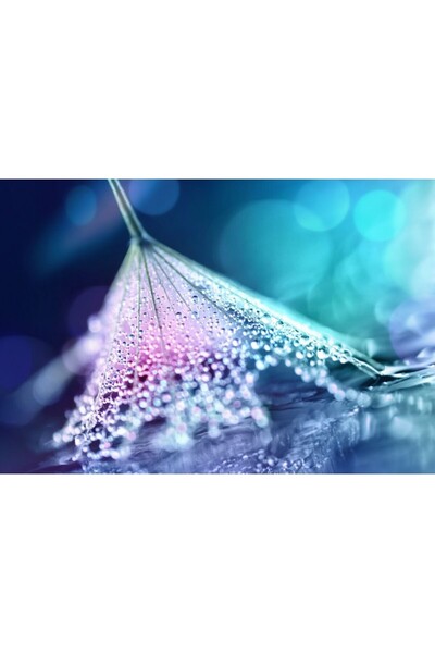 Zumzeria Картина върху платно с глухарче "Вълшебни капки дъжд", 80x50 см, can...