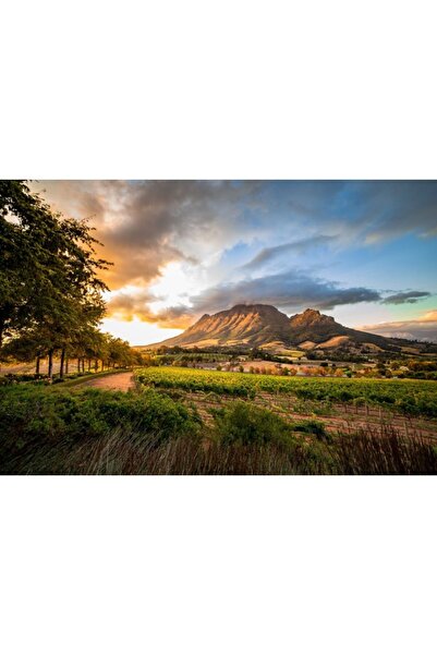 Zumzeria Πίνακας σε καμβά Πολύχρωμο Φθινοπωρινό Ηλιοβασίλεμα Πάνω από Αμπελών...