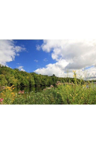 Zumzeria Tablou Canvas Stunning Summer Landscape, 80x50cm, tabloucanvas1194, ...