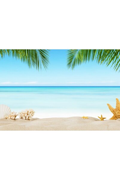 Zumzeria Καμβάς Tablou Κοχύλια, Κοράλλια και Αστερίες στην Παραλία, 80x50εκ.,...