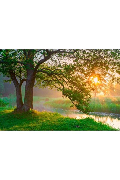 Zumzeria Tablou Canvas Sunbeams Shining Through Summer Landscape, 80x50cm, tabloucanvas455, Zumzeria ®