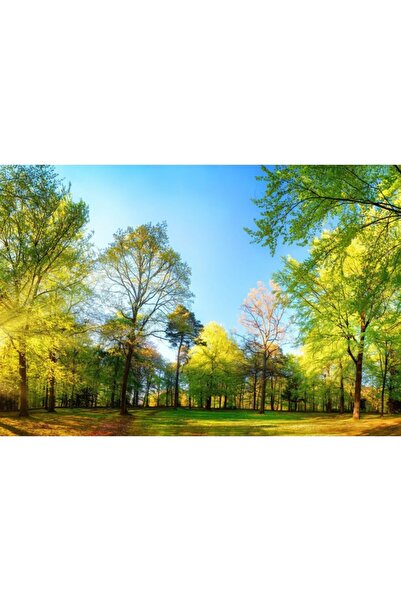 Zumzeria Tablou Canvas Warm Summer Day In The Park, 80x50cm, tabloucanvas846, Zumzeria ®