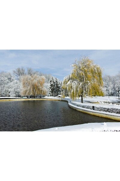 Zumzeria Tablou Canvas The Frozen Lake In Wintertime, 80x50cm, tabloucanvas1285, Zumzeria ®