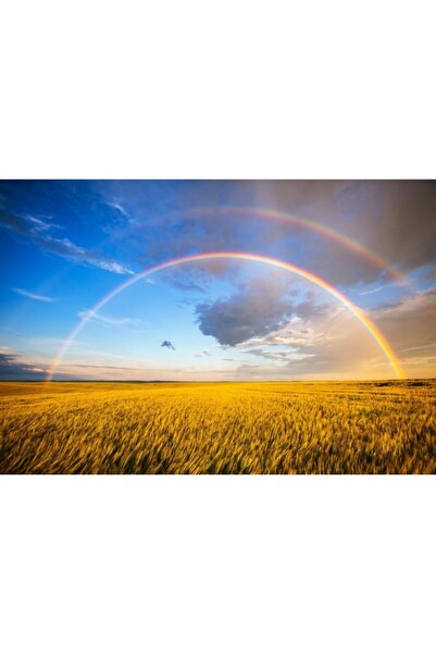 Zumzeria Πίνακας σε καμβά Μαγικό Ουράνιο Τόξο στο Ηλιοβασίλεμα, 80x50εκ., tableaucanvas689, ®