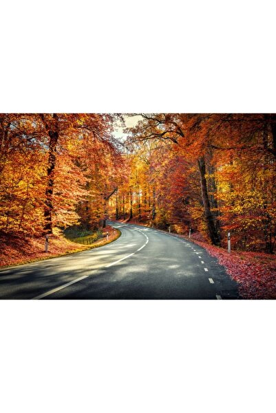 Zumzeria Πίνακας σε καμβά "Ο Δρόμος στο Φωτεινό Κόκκινο Φθινοπωρινό Δάσος", 8...