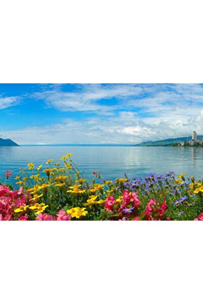 Zumzeria Tablou Canvas Looking Through Beautiful Flower Bushes, 80x50cm, tabl...