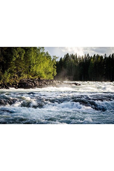Zumzeria Καμβάς Tablou Fast Flowing River in the Mountains, 80x50εκ., tablouc...