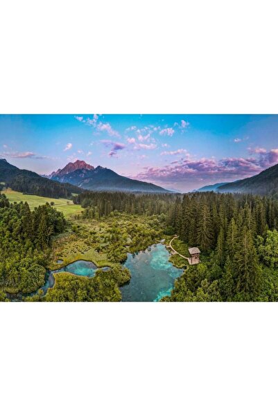 Zumzeria Tablou Canvas Panoramic View From Beautiful Zelenci, 80x50cm, tablou...