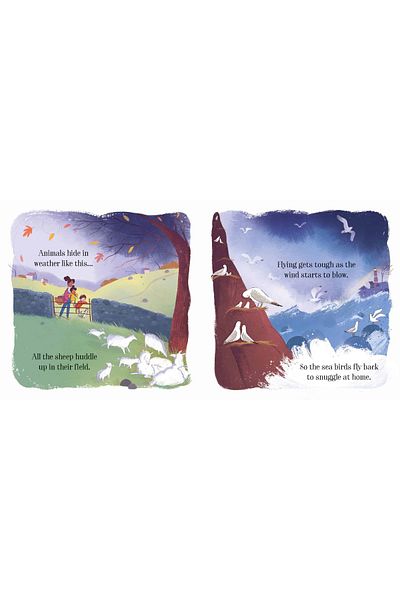 Usborne Children's book - Little Board Book: The Stormy Day