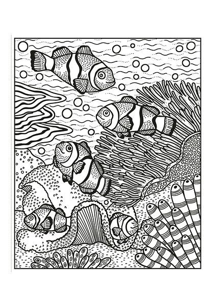 Usborne Water Painting Book - Coral Reef Magic Painting Book