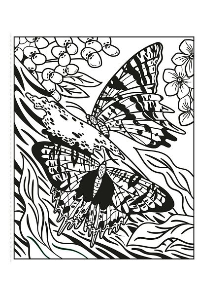 Usborne Butterflies Magic Painting Book