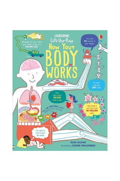 Usborne Children's Book - Lift-the-flap How Your Body Works