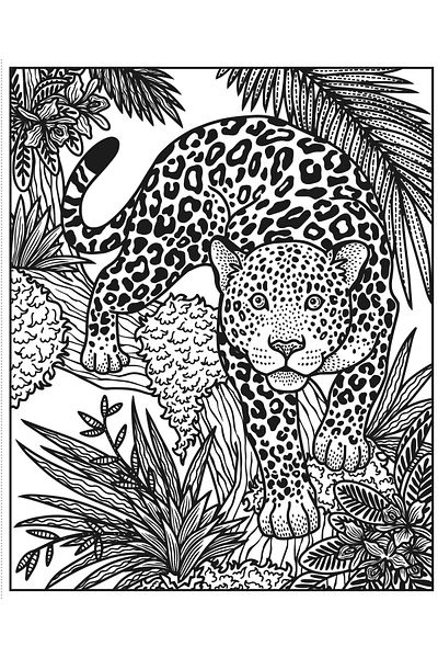 Usborne Water painting book - Wild Animals Magic Painting Book
