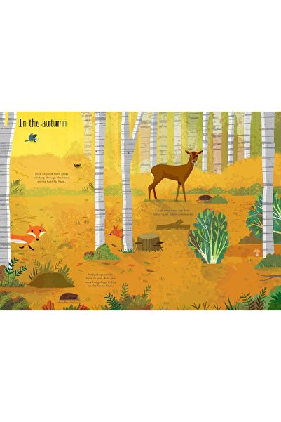 Usborne Little First Stickers Woodlands
