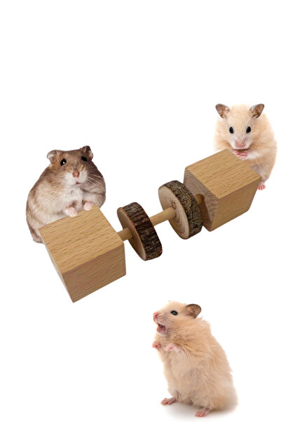 Alyones Doğal Ahşap Hamster Kemirme Oyuncak - Diş Sağlığı Bulmaca Besleyici