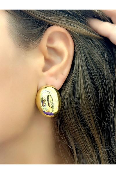 MyladyAccessoriess Special Series Curved Oval Earrings (Brass Plated) Silver