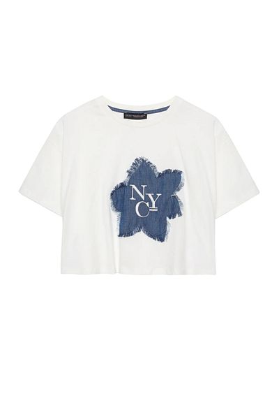 Quzu Brc Denim Printed Crop T-Shirt