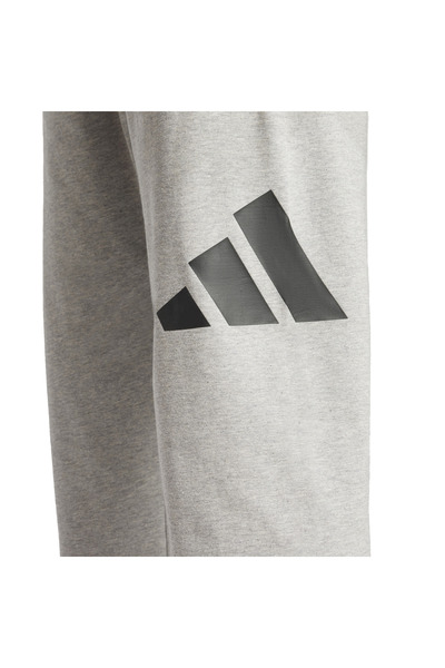 adidas Essentials Big Logo Φούτερ μονόκλινο