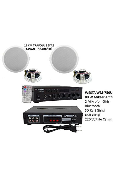 Westa Anfi Tavan Hoparlör Mağaza Ses Sistemi 2'li Beyaz
