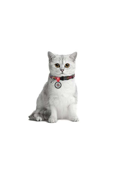 WAUDOG COLLAR Collar Qr Cat Collar with Passport 20-30 cm 10 mm "Graffiti"