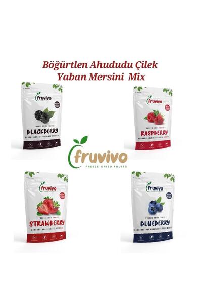Fruvivo Freeze Dried Fruits Dondurularak Kurutulmuş, Böğürtlen, Ahududu, Çile...