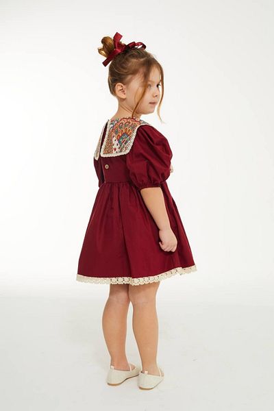 Elidabutik Ethnic Pattern Collar Detailed Burgundy Dress