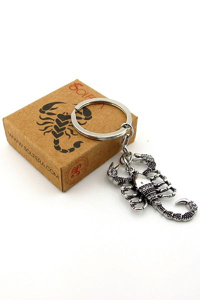 Solfera Scorpio Zodiac Astrology Shiny Metal Keychain with Zircon Stone Rz286