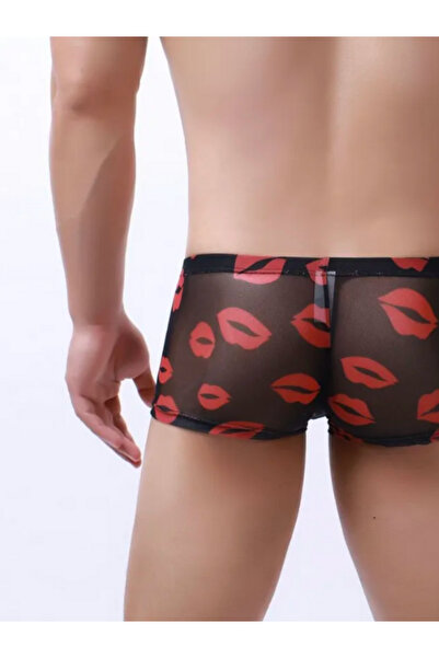 byen Hayat Bazendelikten Yanaizemli Cazibe: Baştan Çıkaran Şeffaflık ve Tutkulu Detaylar