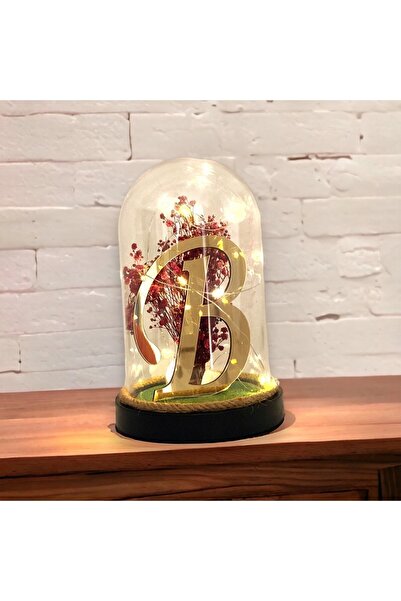 hediye arıları Kişiye Özel Tasarım Harfli Fanus Aranjmanı - Büyük Boy - Işıklı