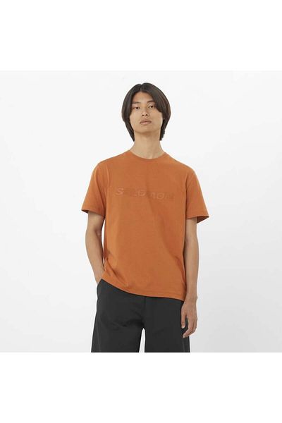 Salomon Salomon Big Logo Tee M Ανδρικό καφέ Tshirt Lc 2527100 -51142