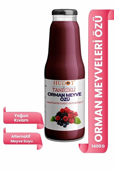 Taneli Orman Meyveleri Özü 1400 Gr Hudot Premium