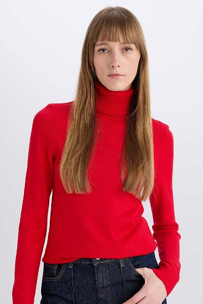 DeFacto Regular Fit Soft Textured Turtleneck Basic Plain Knitwear Sweater H1651Az24Wn