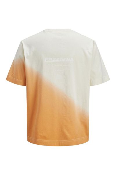 Jack & Jones Junior T-shirt Colour Blocking T-shirt Junior