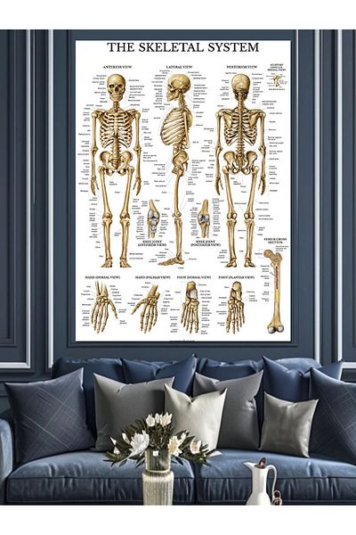 Tablomega Διακοσμητικός καμβάς Skeleton System - Ξύλινος πίνακας MDF