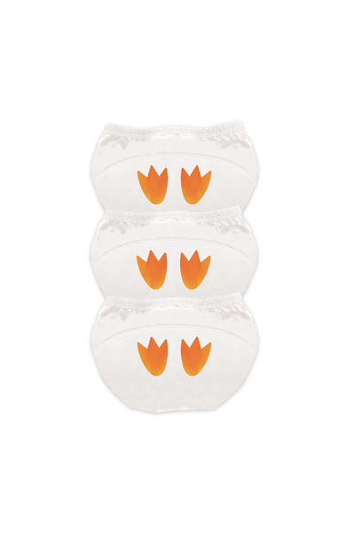 My Carry Potty Set of 3 My Little Training Pants, 2-3 Years, Penguin