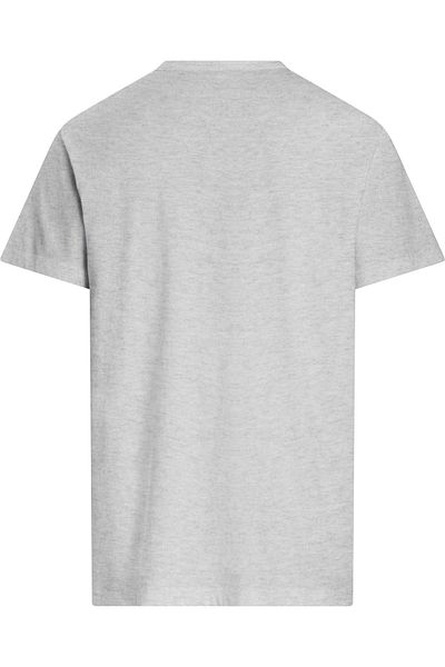 Calvin Klein Male Gray T-Shirts