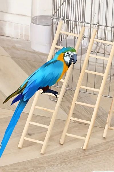 Alyones Natural Wooden Bird Perch - Thick and Lightweight Cage Accessory for Wild Birds (Color and Shape Random)