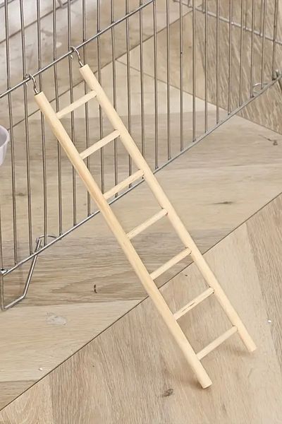 Alyones Natural Wooden Bird Perch - Thick and Lightweight Cage Accessory for Wild Birds (Color and Shape Random)