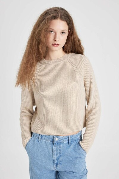 DeFacto Coool Regular Fit Crew Neck Basic Plain Knitwear Sweater L2567Az24Wn